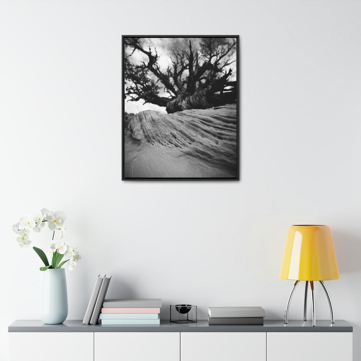 Desert Reach in Black and White - Canvas with Frame