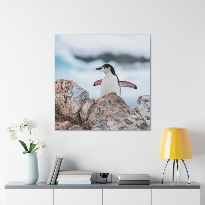 Stretched Penguin - Canvas