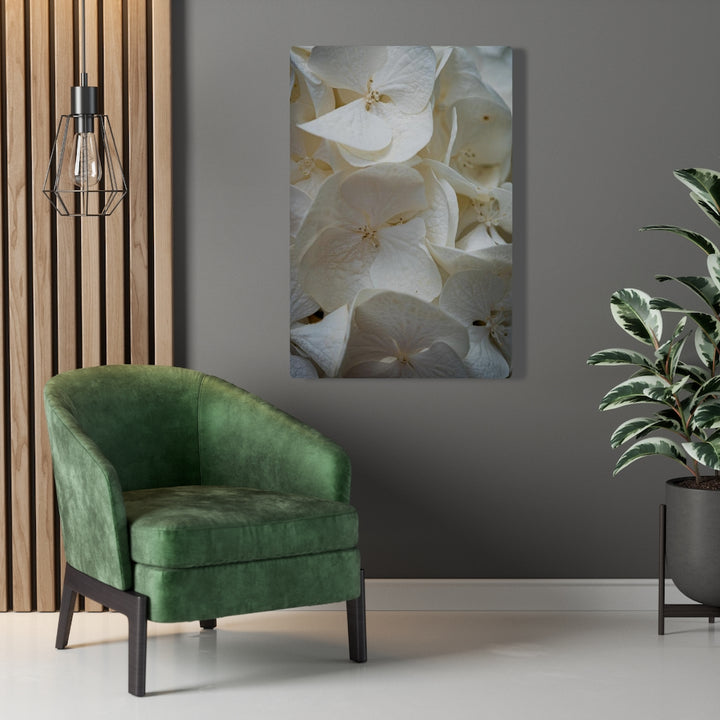 White Hydrangea Detail - Canvas