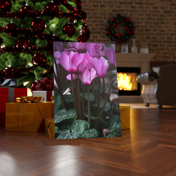 Cyclamen Reach - Canvas