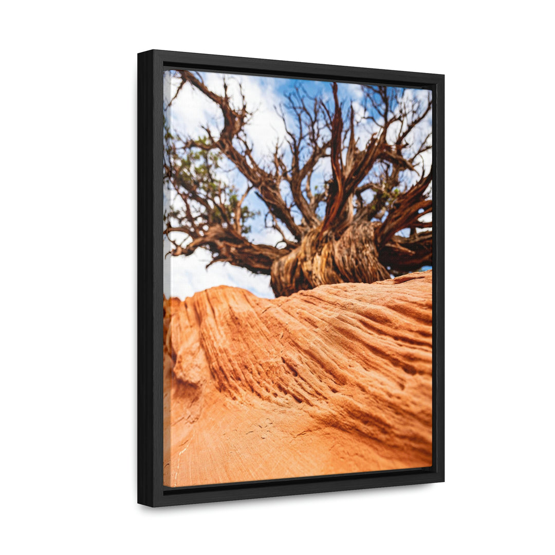 Desert Reach - Canvas with Frame