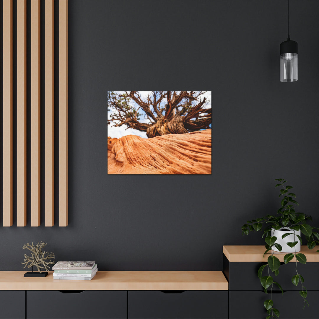 Desert Reach - Canvas