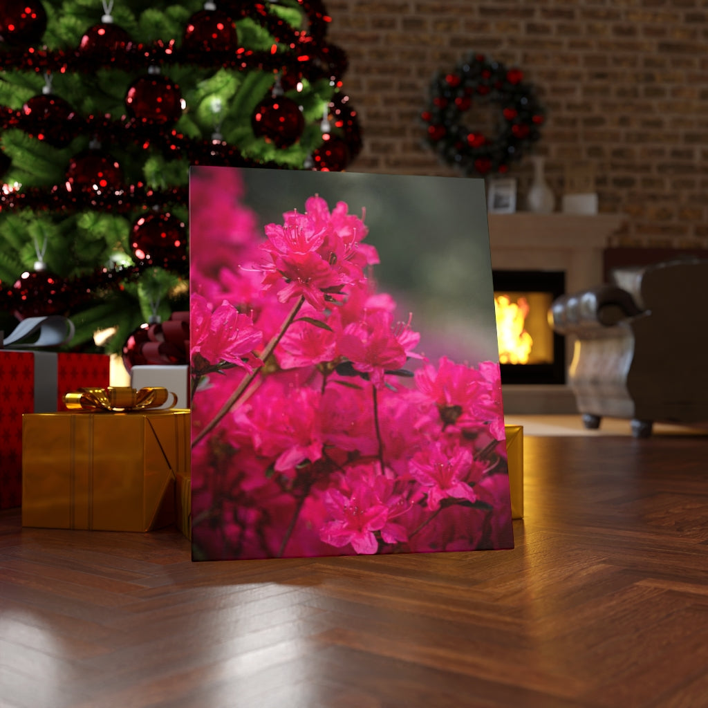 Full Bloom - Canvas