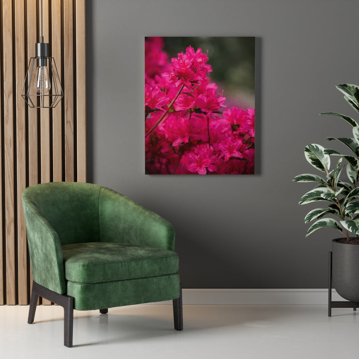 Full Bloom - Canvas