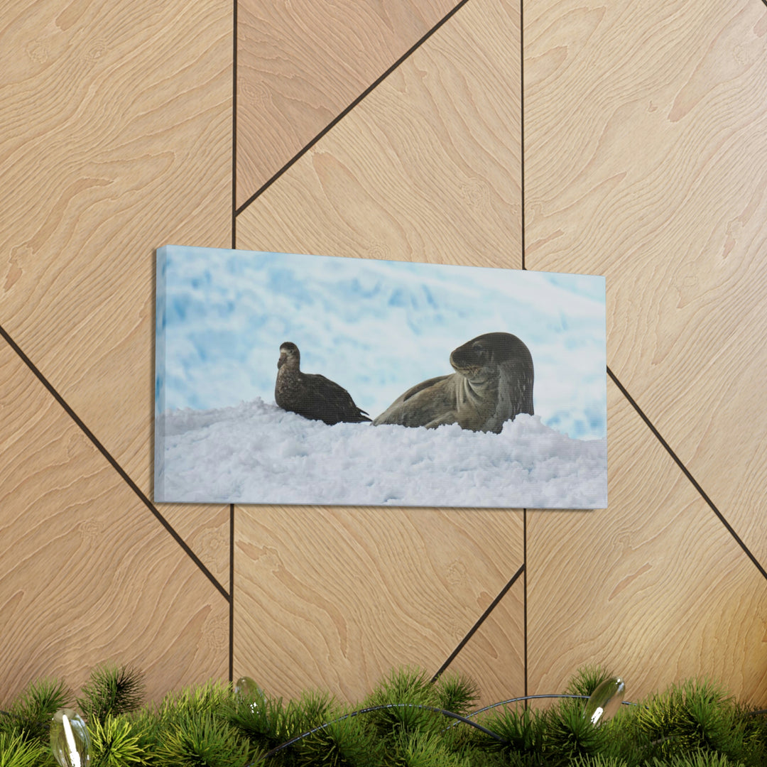 A Resting Pair - Canvas