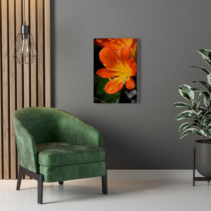 Bright Bush Lily - Canvas