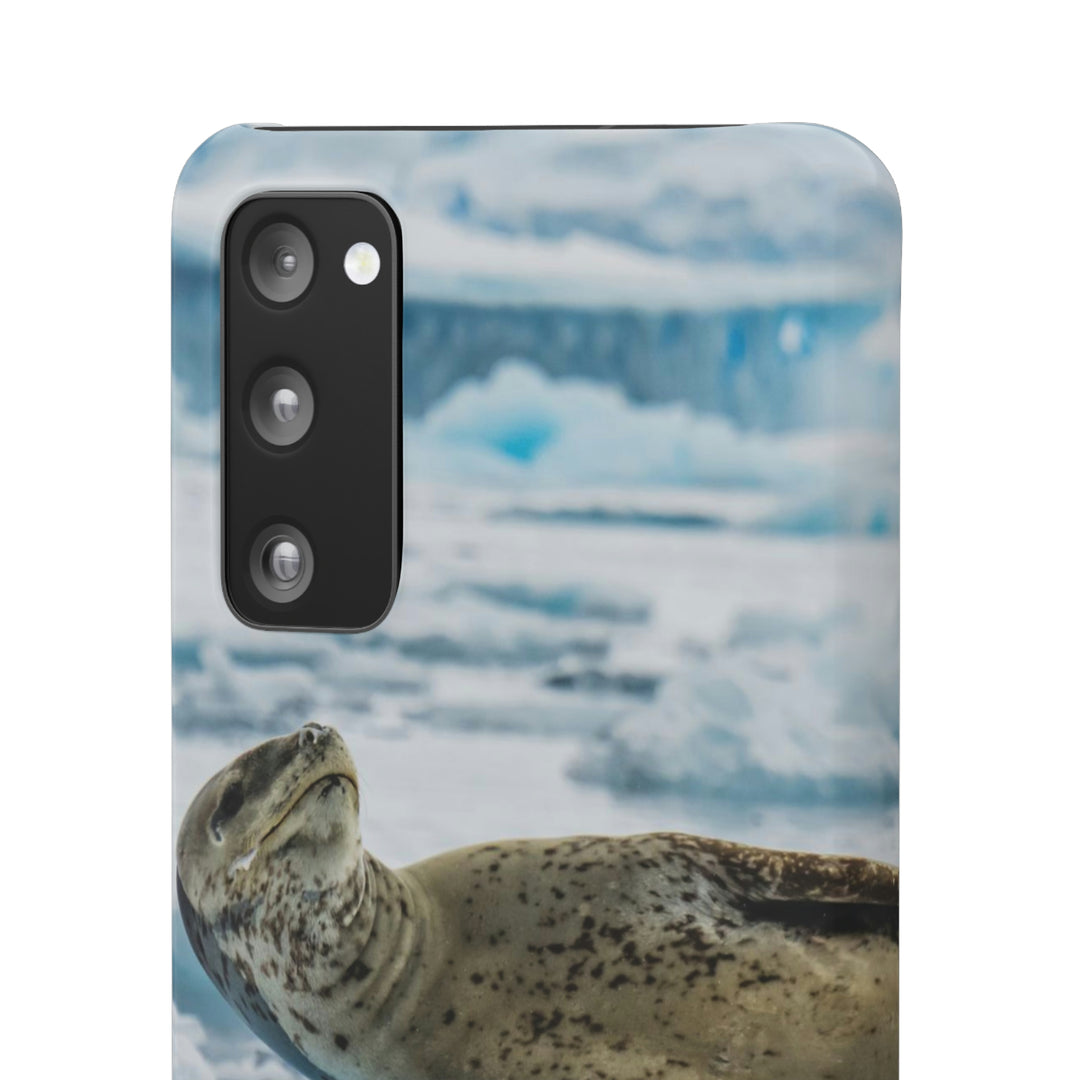 Leopard Seal Relaxing - Phone Case