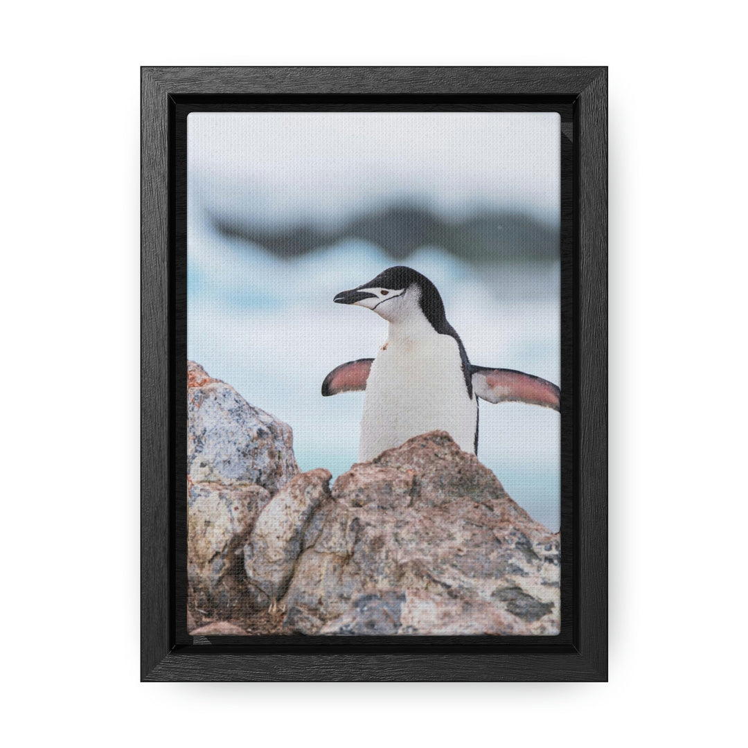 Stretched Penguin - Canvas with Frame