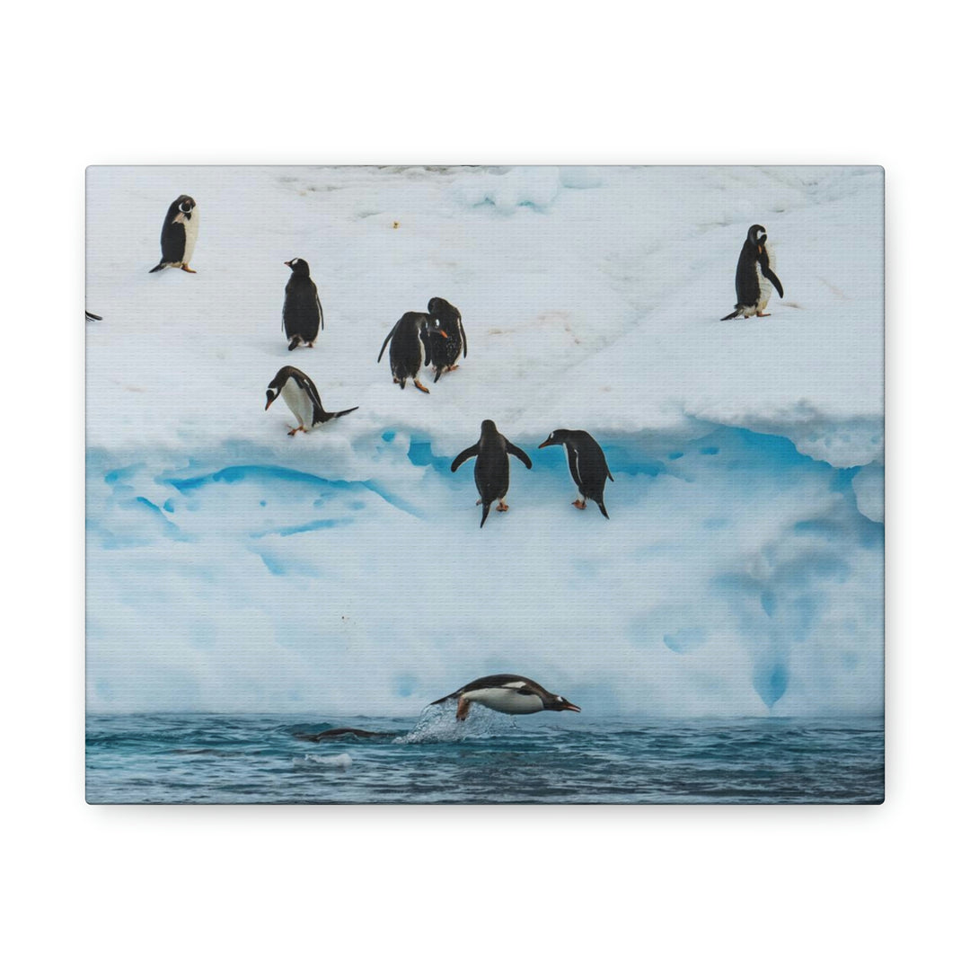 Porpoising Penguin - Canvas