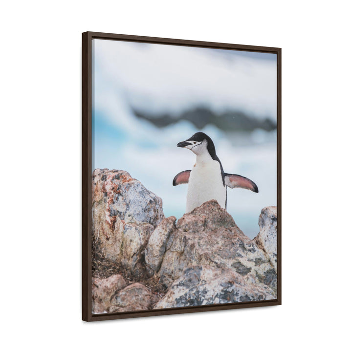 Stretched Penguin - Canvas with Frame