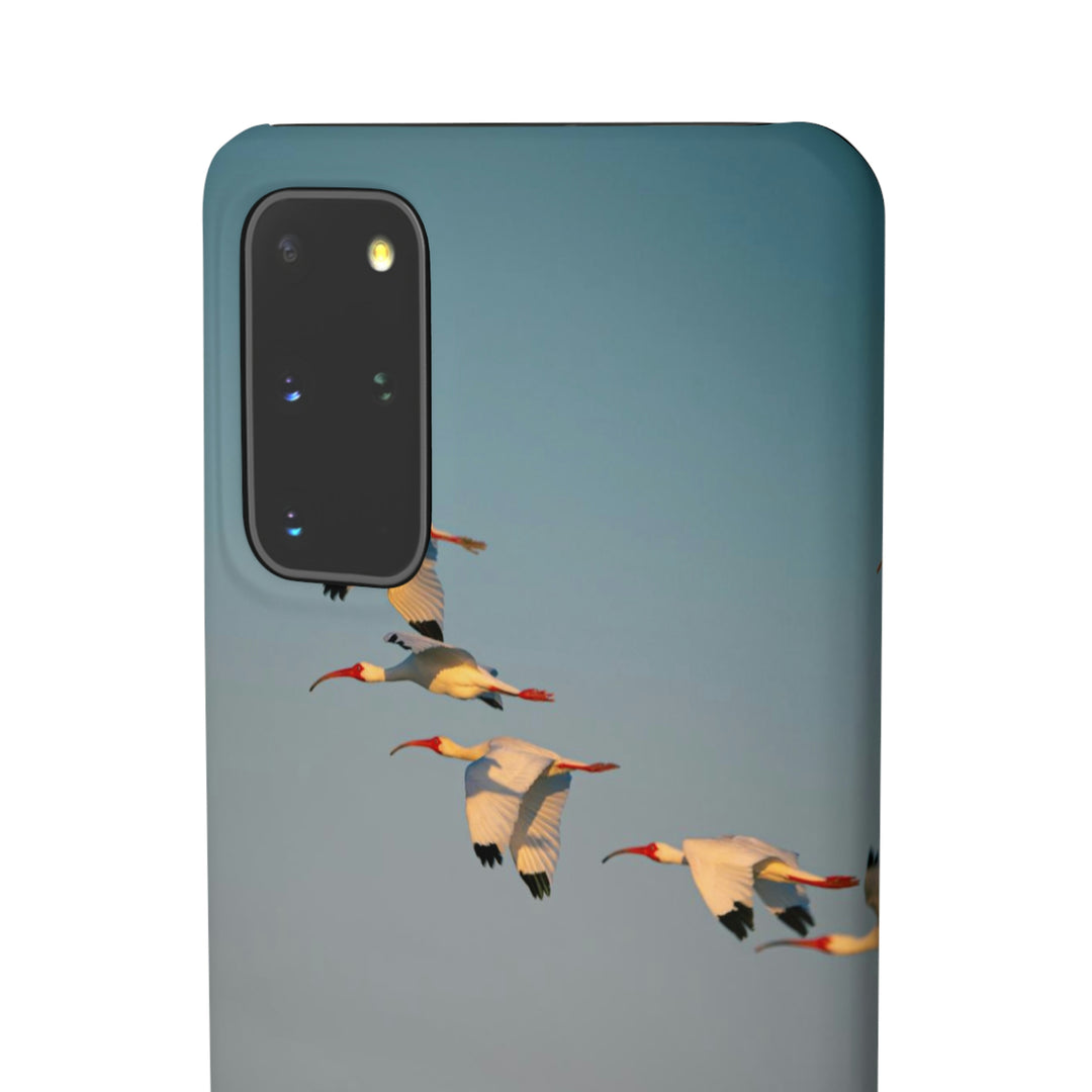 White Ibis in Flight - Phone Case