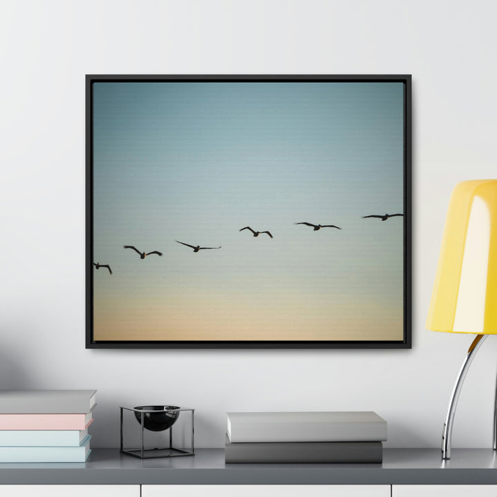 Brown Pelicans in Flight - Canvas with Frame