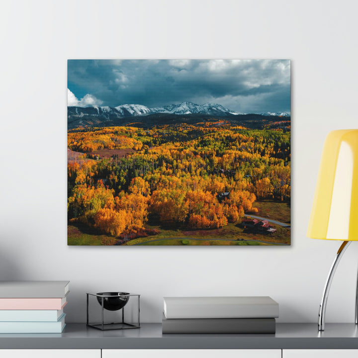 Golds of Autumn - Canvas