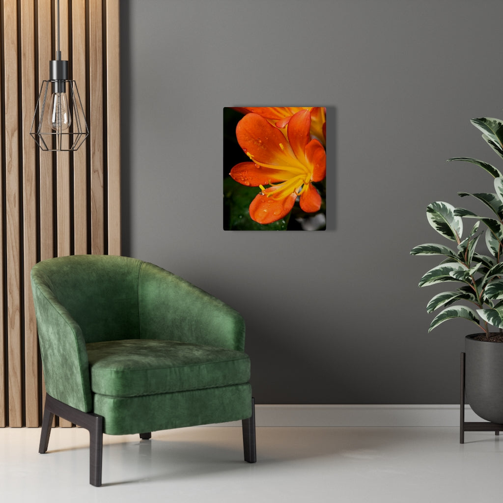 Bright Bush Lily - Canvas