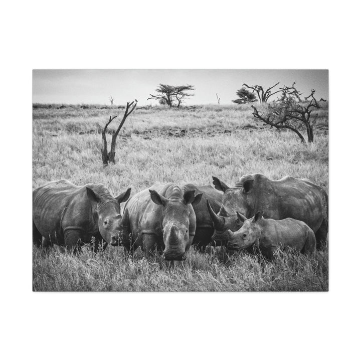 Rhino Family in Black and White - Canvas