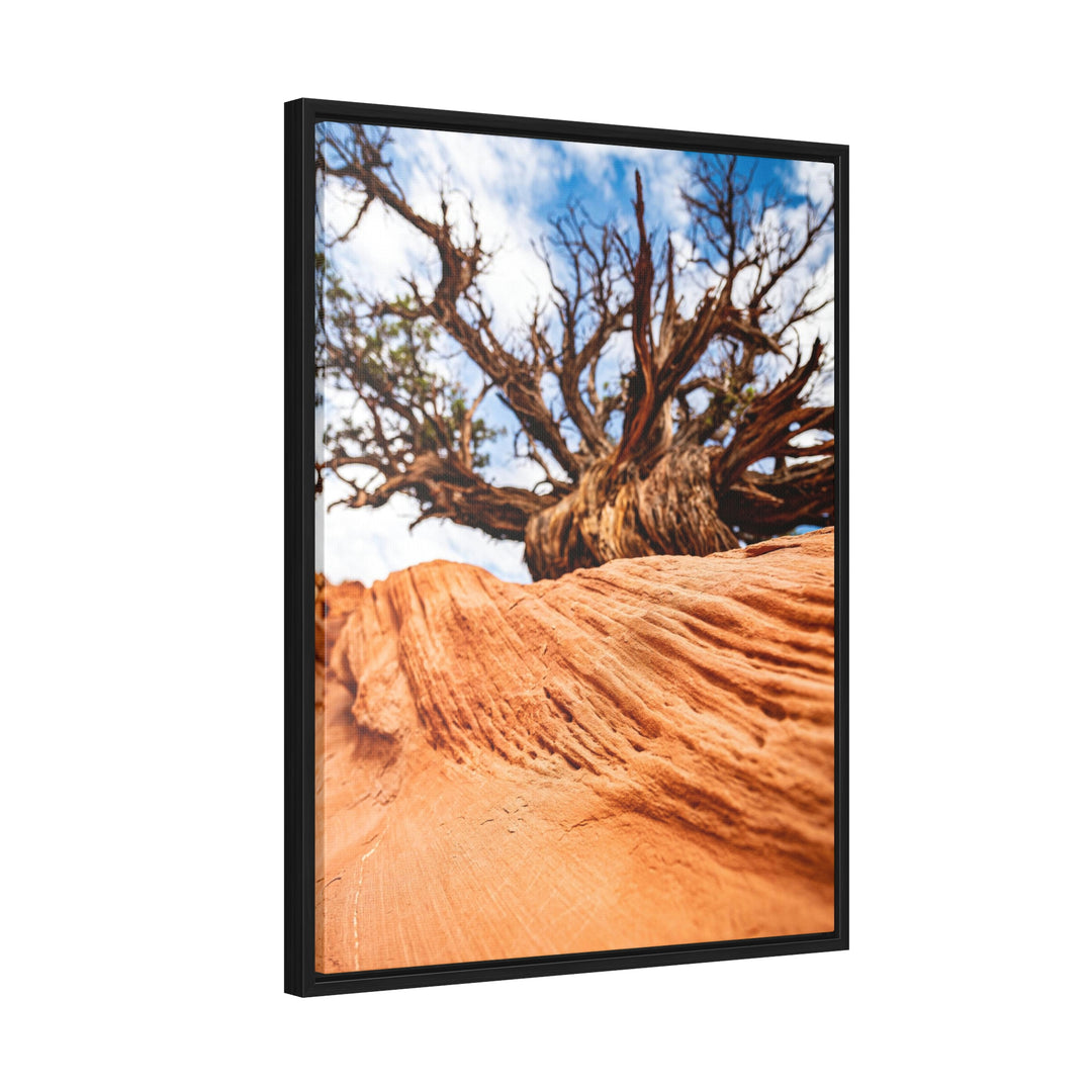 Desert Reach - Canvas with Frame