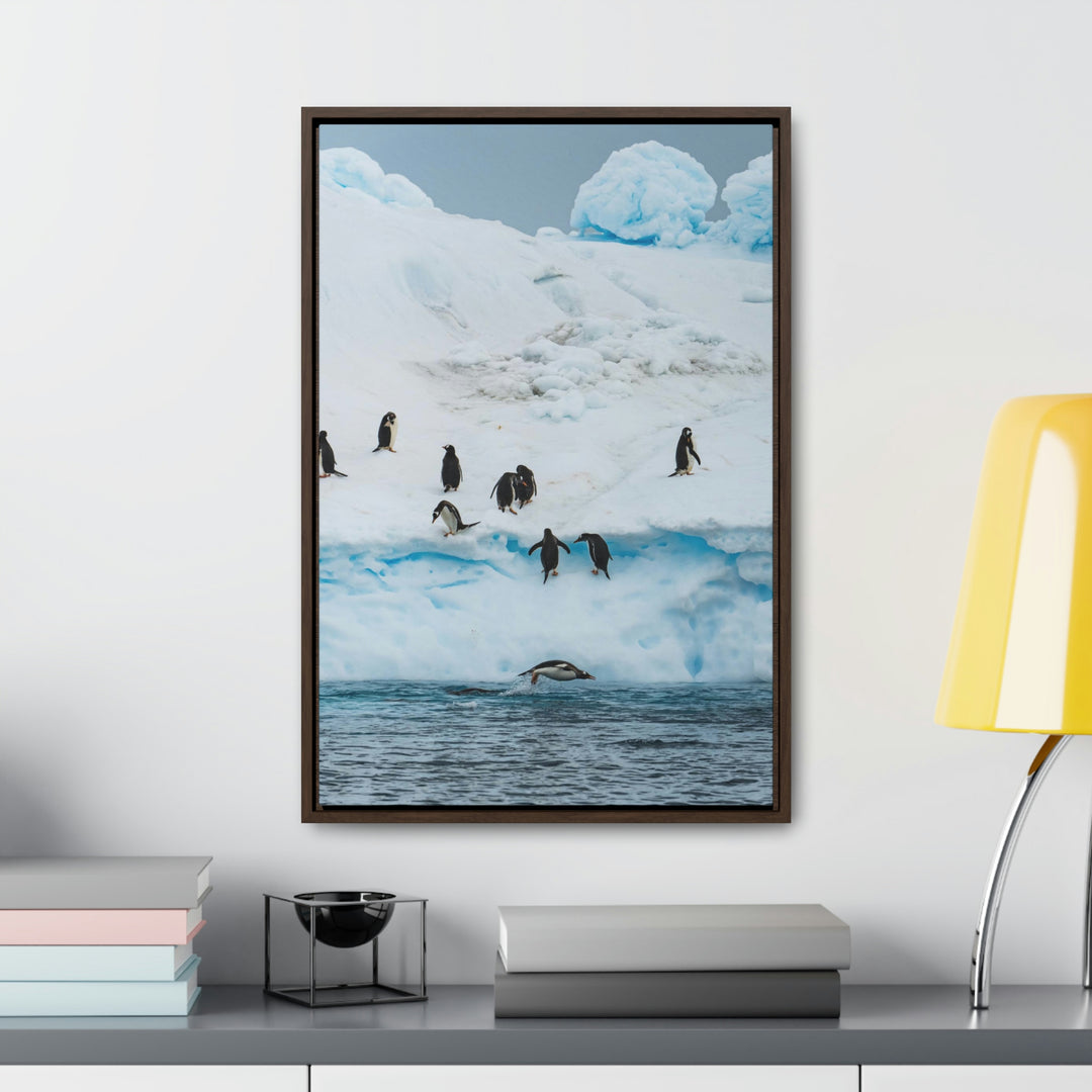 Porpoising Penguin - Canvas with Frame