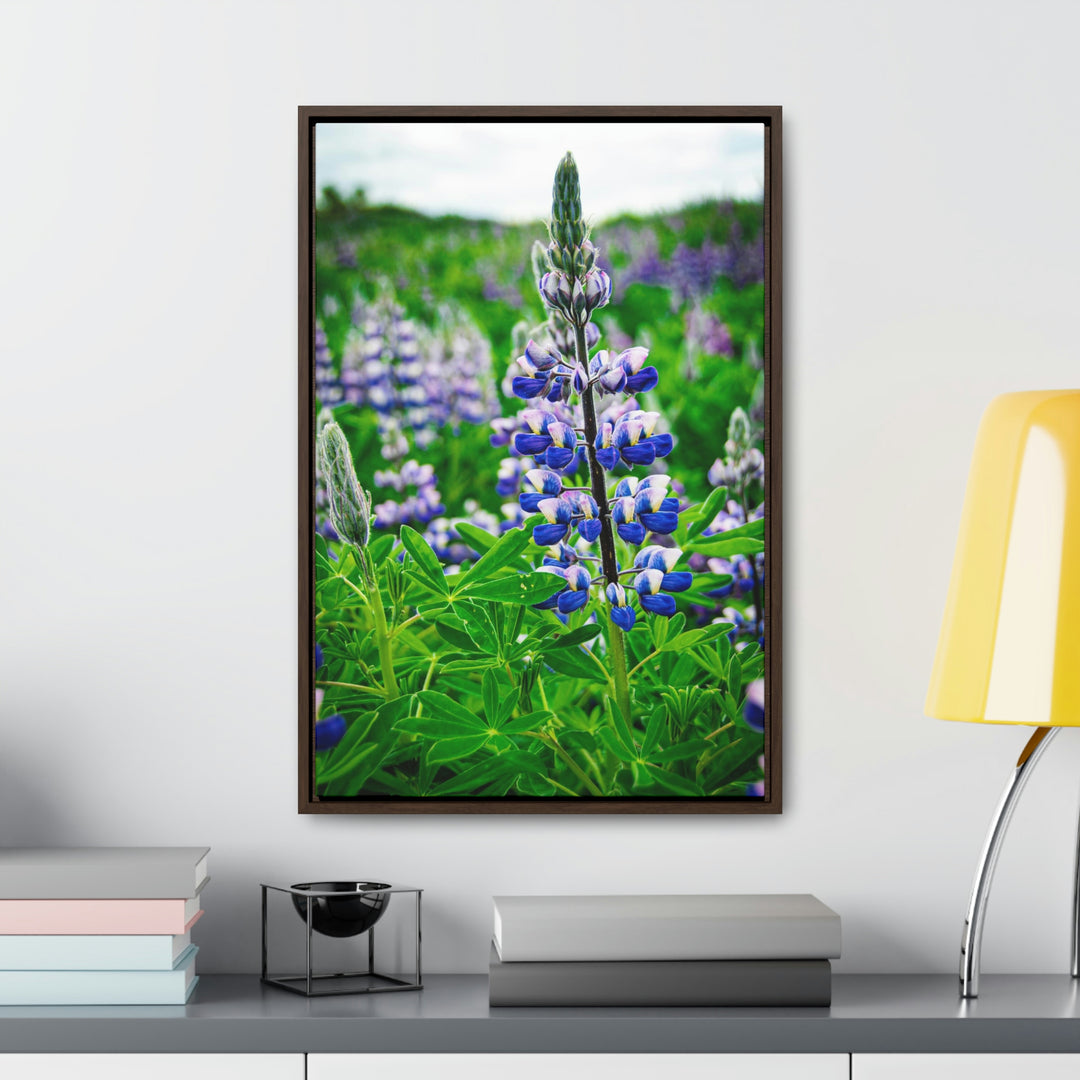 Glowing Lupin - Canvas with Frame