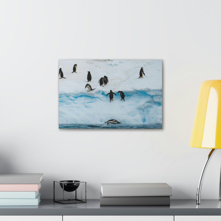 Porpoising Penguin - Canvas