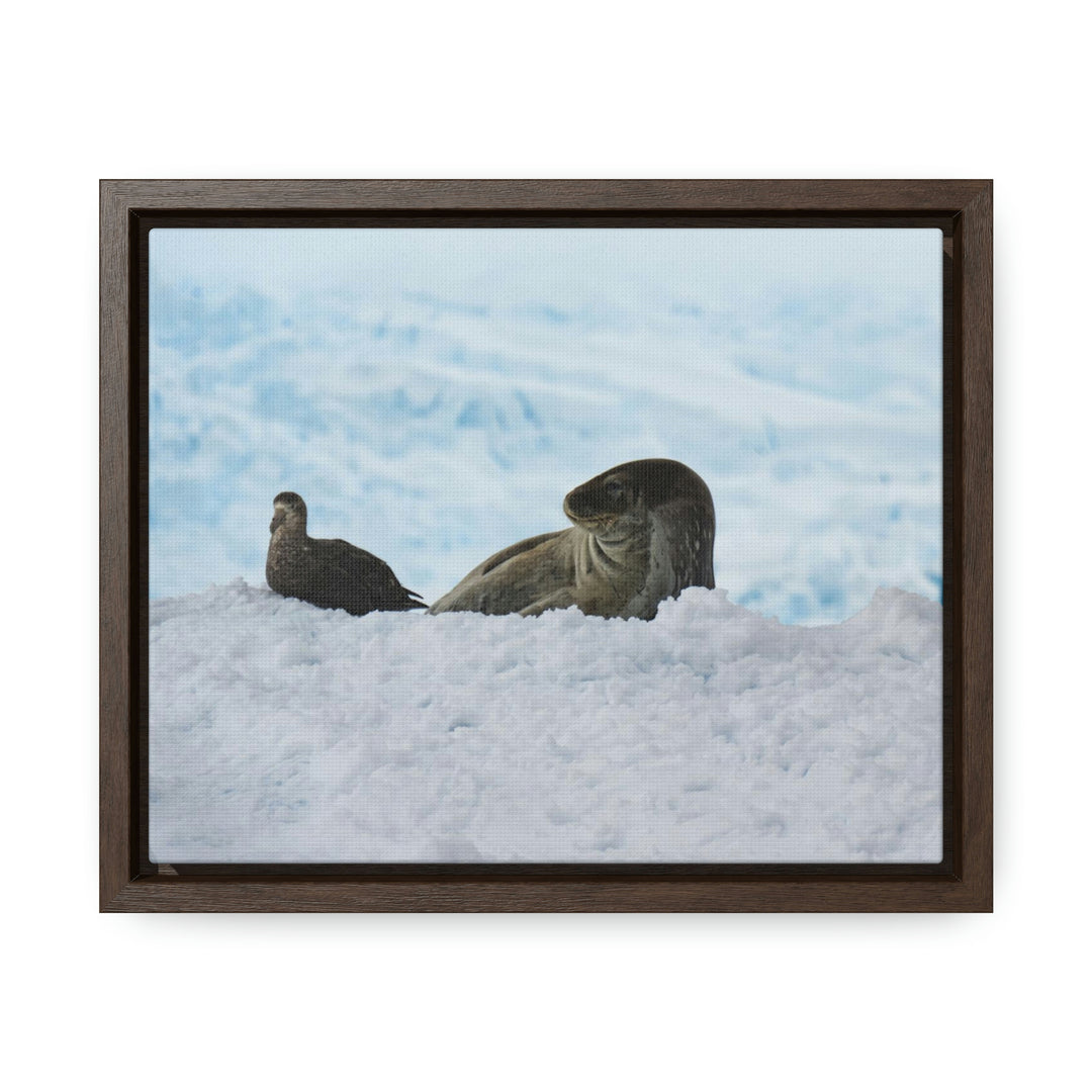 A Resting Pair - Canvas with Frame