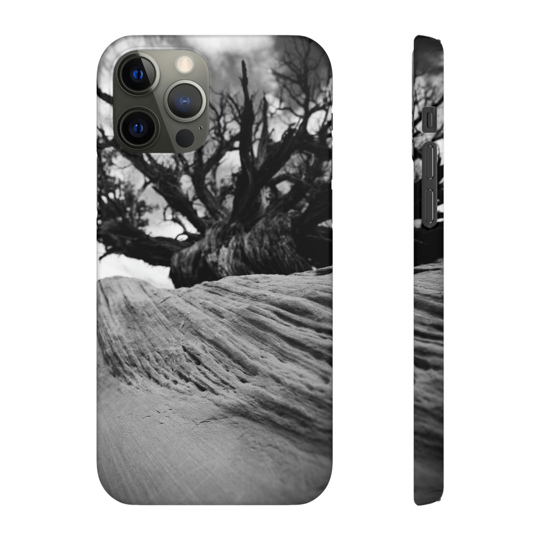 Desert Reach in Black and White - Phone Case