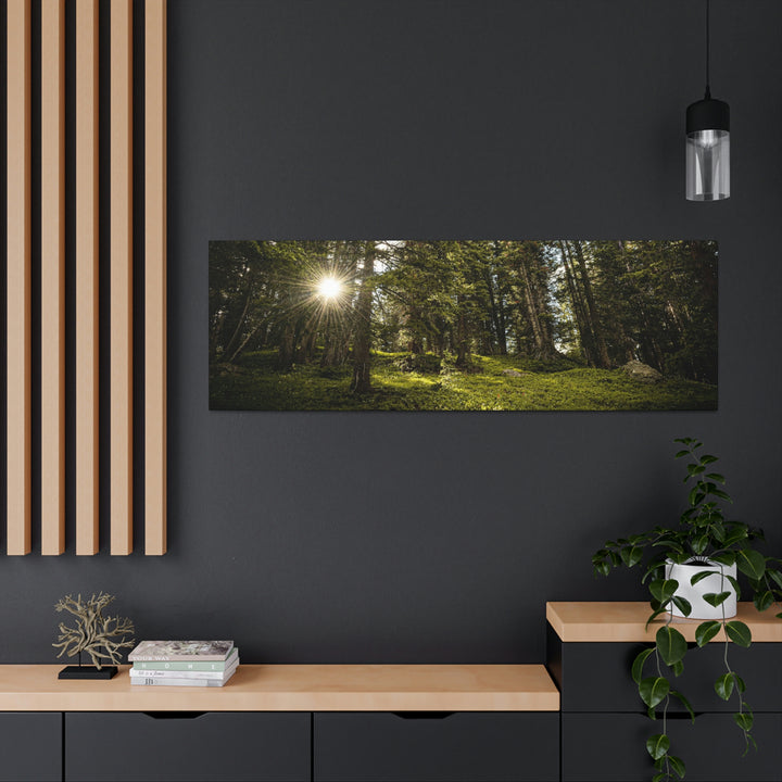 Forest Light - Canvas