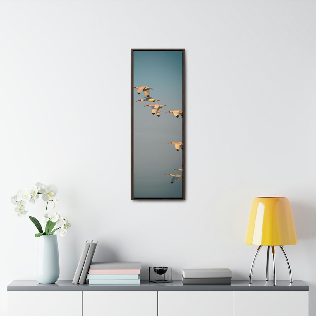 White Ibis in Flight - Canvas with Frame