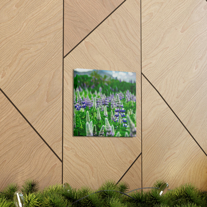 Glowing Lupin with Mountains - Canvas