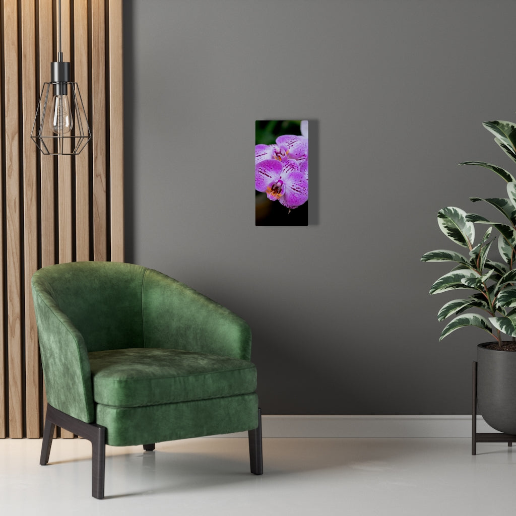 Orchid in Pink - Canvas