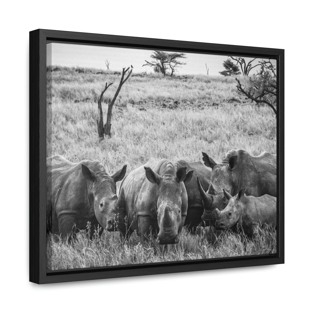 Rhino Family in Black and White - Canvas with Frame