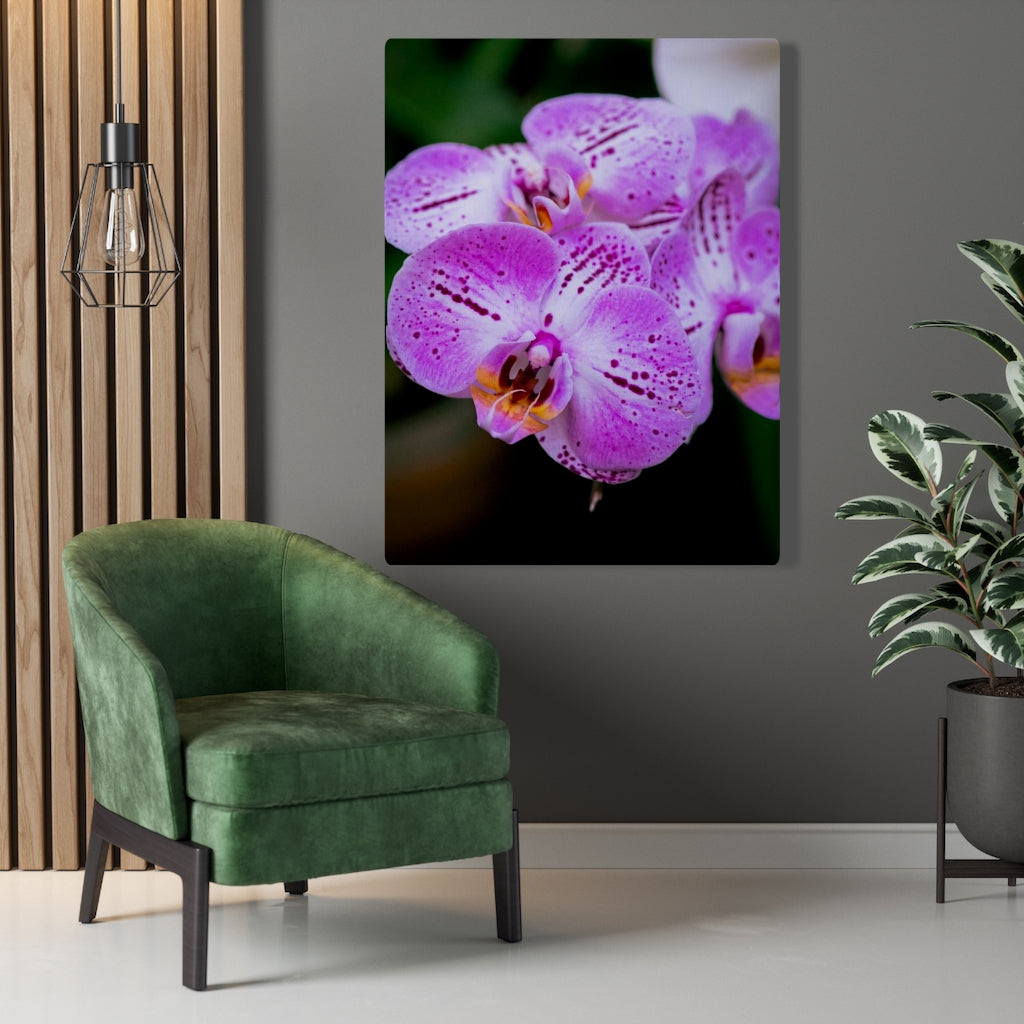 Orchid in Pink - Canvas