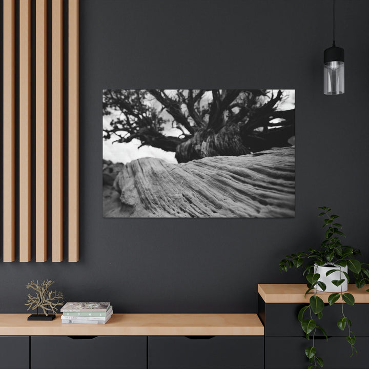 Desert Reach in Black and White - Canvas