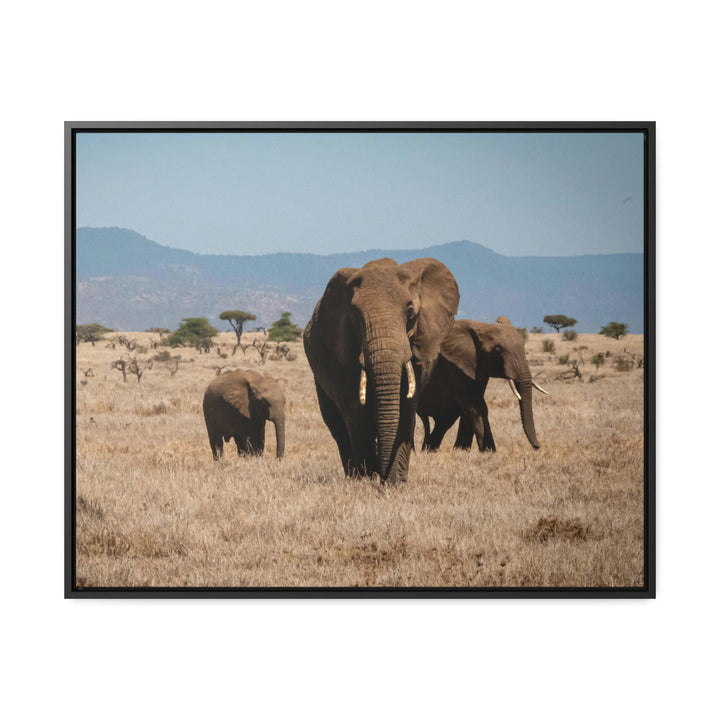 Family March - Canvas With Frame