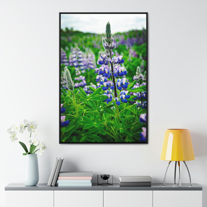 Glowing Lupin - Canvas with Frame