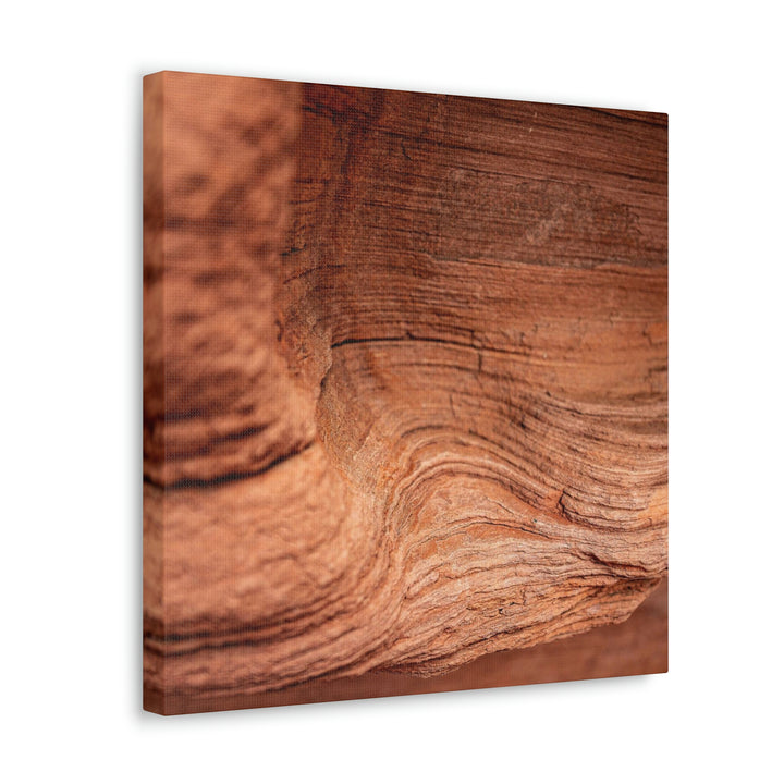 Sedimentary Rock Curves - Canvas