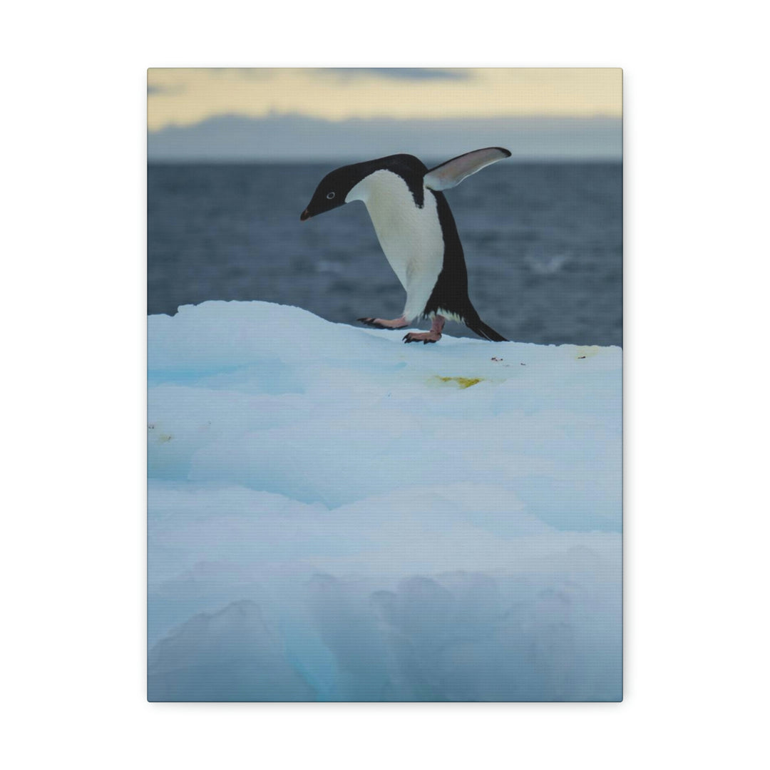 Penguin Dance - Canvas