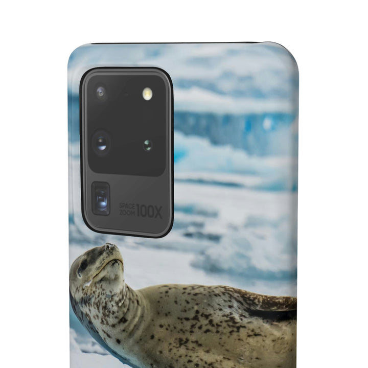 Leopard Seal Relaxing - Phone Case