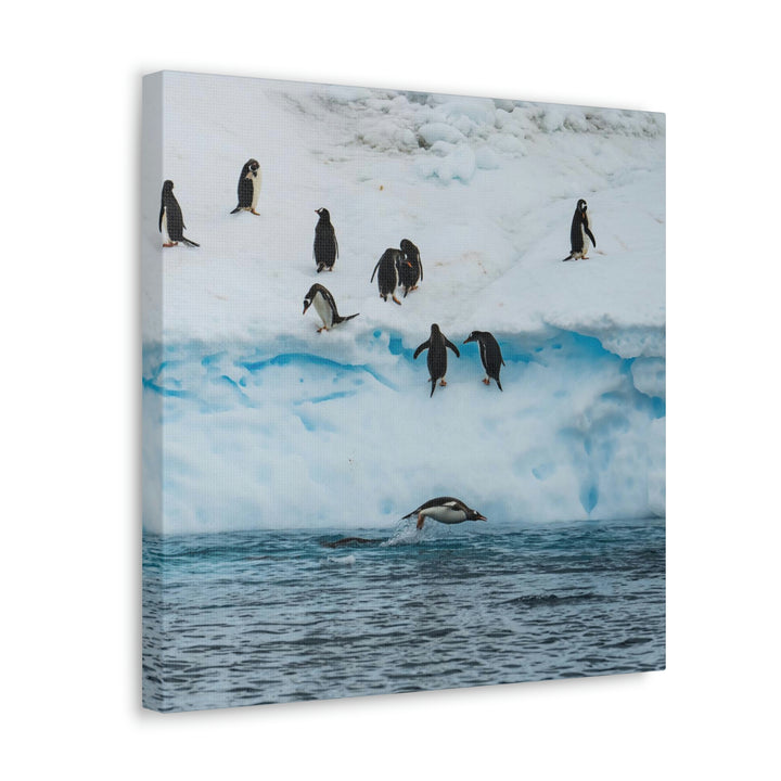 Porpoising Penguin - Canvas