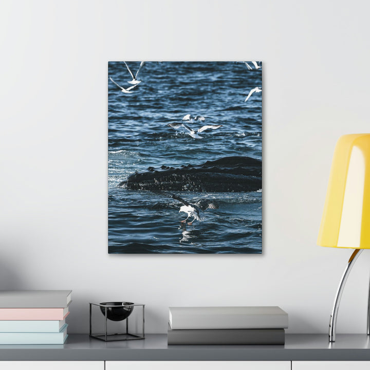 Humpback Hello - Canvas