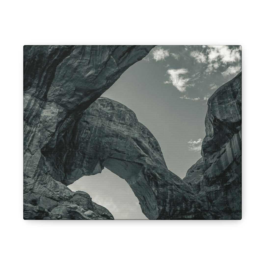 Natural Frames Part 4 in Black and White - Canvas