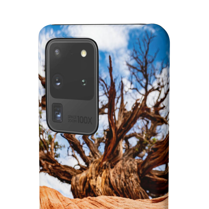 Desert Reach - Phone Case