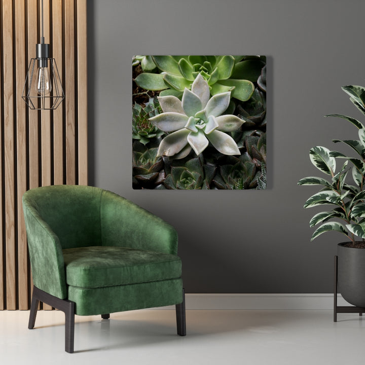 Succulent - Array - Canvas