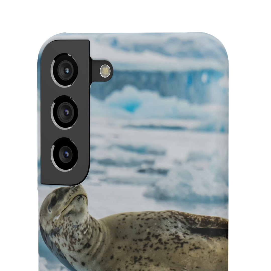 Leopard Seal Relaxing - Phone Case