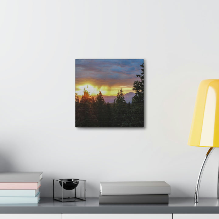 Rainy Sunset Through the Trees - Canvas