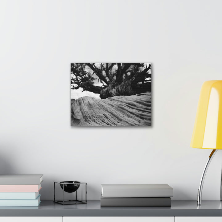 Desert Reach in Black and White - Canvas