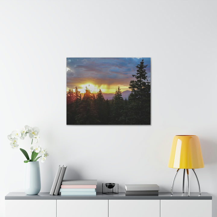 Rainy Sunset Through the Trees - Canvas