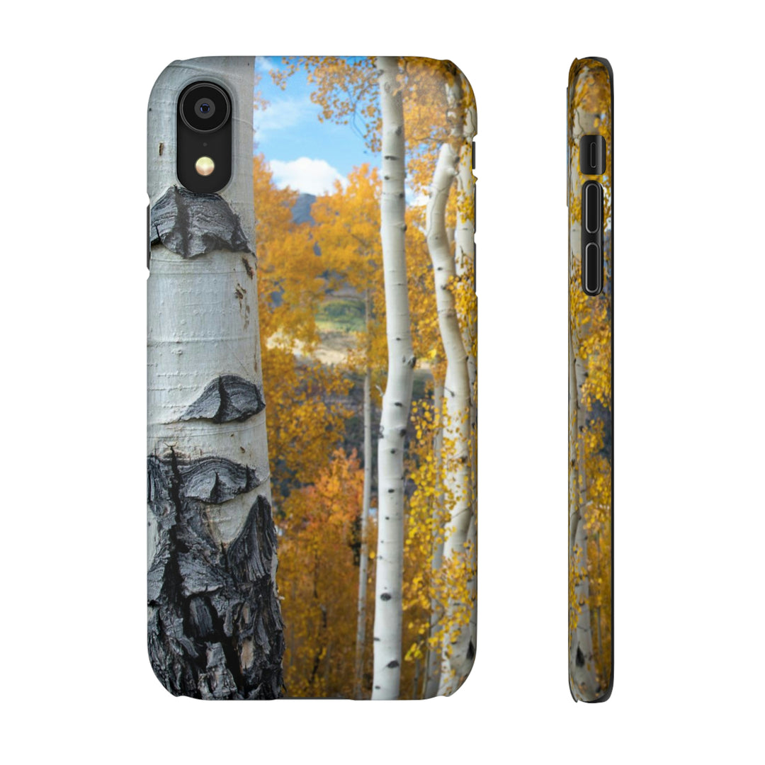 Aspens Changing - Phone Case