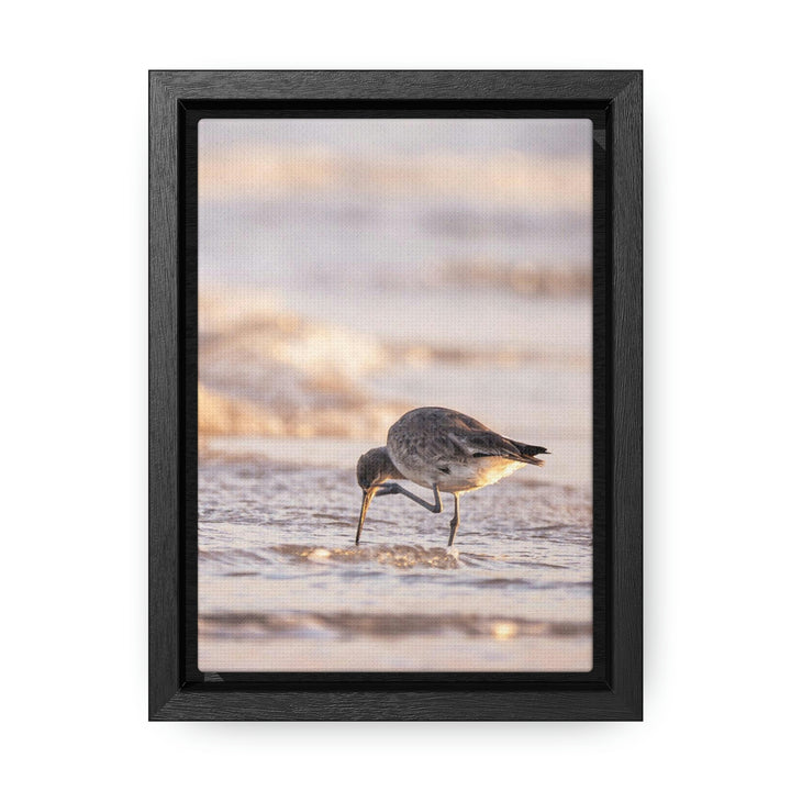 Willet Itch - Canvas with Frame