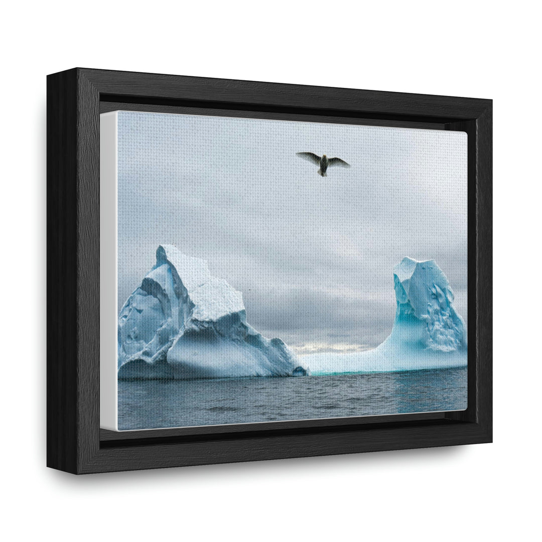 Antarctic Flight - Canvas with Frame