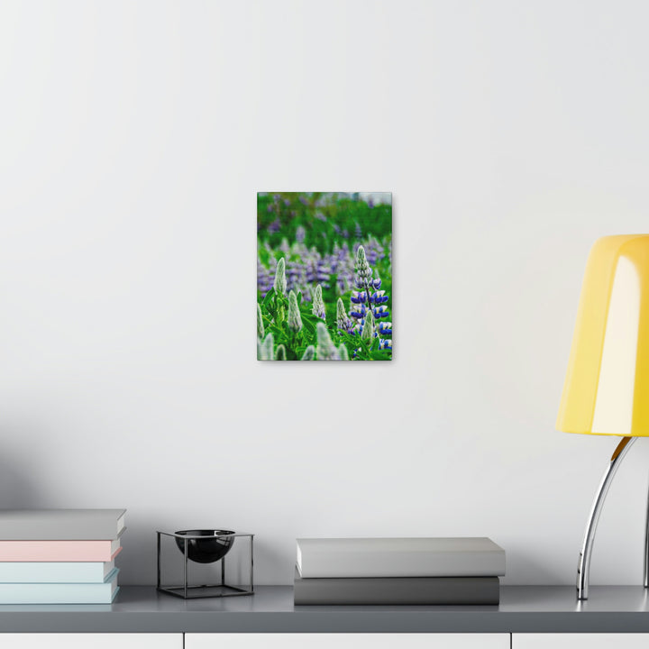 Glowing Lupin with Mountains - Canvas